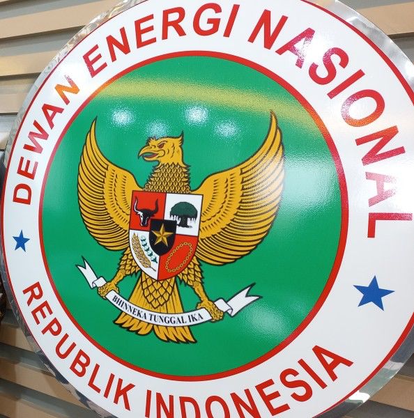 Kegagalan Fatal Dewan Energi Nasional