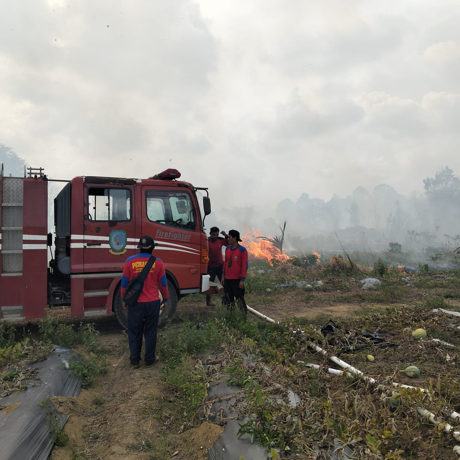 Karhutla dan Cuaca Ekstrem Melanda Sejumlah Wilayah, BNPB Perketat Monitoring