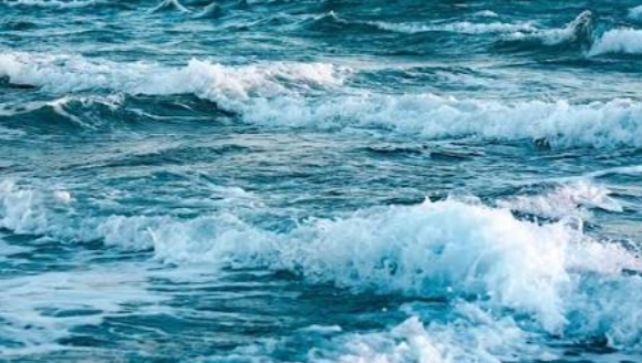 Nyaris Tragis! Aksi Heroik Penjaga Pantai Selamatkan Wisatawan di Pesisir Barat