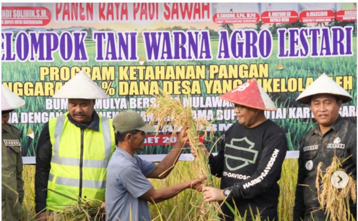 Panen Raya Maret 2026: Stok Beras Nasional Aman untuk 324 Hari ke Depan