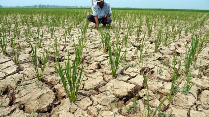 BMKG Prediksi Kemarau 2026 Lebih Panjang dan Kering akibat Fenomena El Nino
