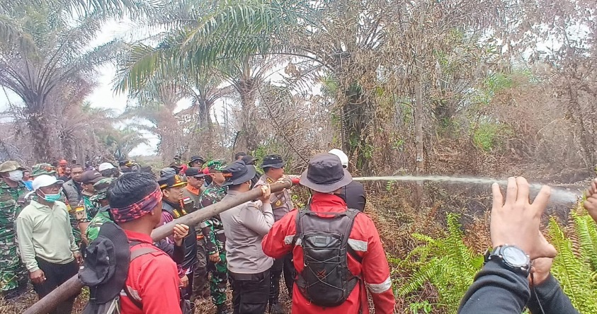 Polres Pelalawan Ungkap Kasus Karhutla Ratusan Hektar, AKBP John Louis: Tindak Tegas Demi Efek Jera!