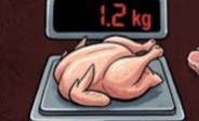 Efek Program MBG: Dongkrak Penjualan Ayam dan Telur, Tapi Peternak Kecil Masih Menjerit?