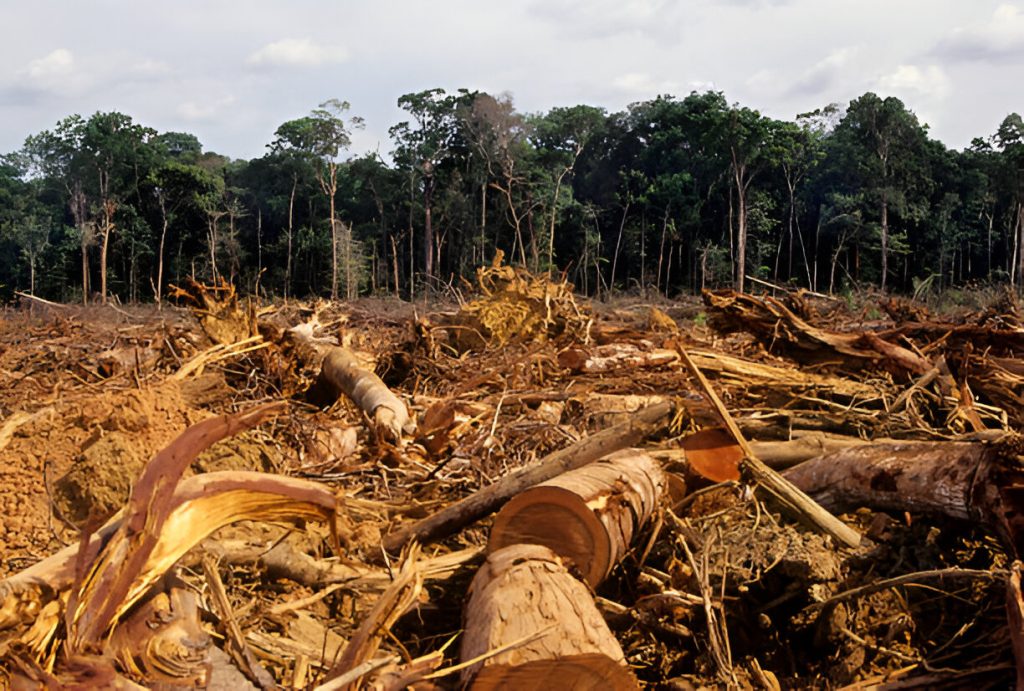 Deforestasi Picu Bencana di Sumatera, DPR Desak Kemenhut Gunakan Teknologi Satelit