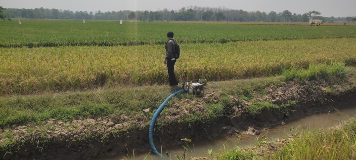 Kementan Siagakan 80 Ribu Pompa Air Hadapi Ancaman El Nino Ekstrem April 2026