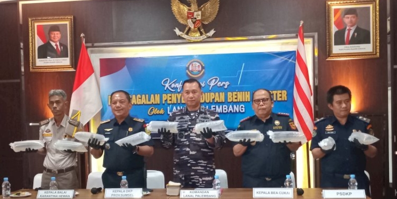 Lanal Palembang Gagalkan Penyelundupan 125 Ribu Benur Senilai Rp6 Miliar di Perairan Jambi