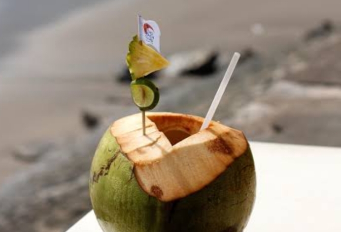 Jangan Asal Minum! Ini Alasan Air Kelapa Murni Ampuh Atasi Asam Lambung Kronis