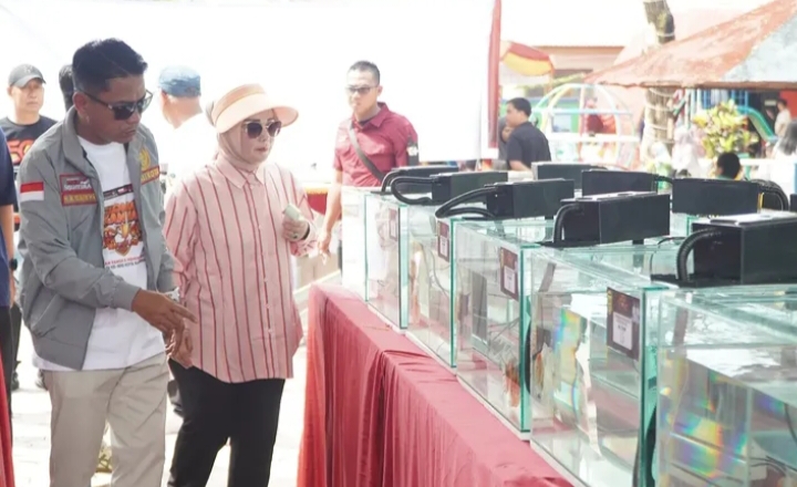 Semarak HUT Ke-500 Banjarmasin: Kontes Ikan Hias Wali Kota Cup 2026 Resmi Digelar