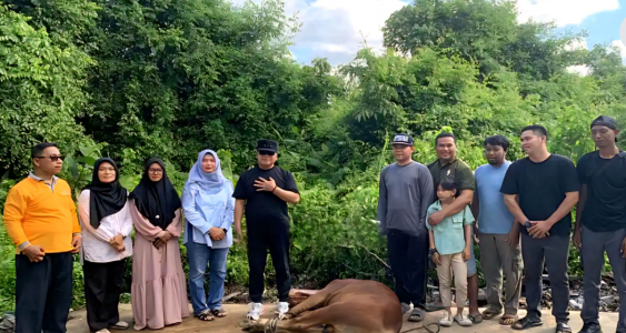 Sujiwo Pastikan Puluhan Sapi Kurban Pemkab Kubu Raya Murni Swadaya ASN Tanpa Dana APBD