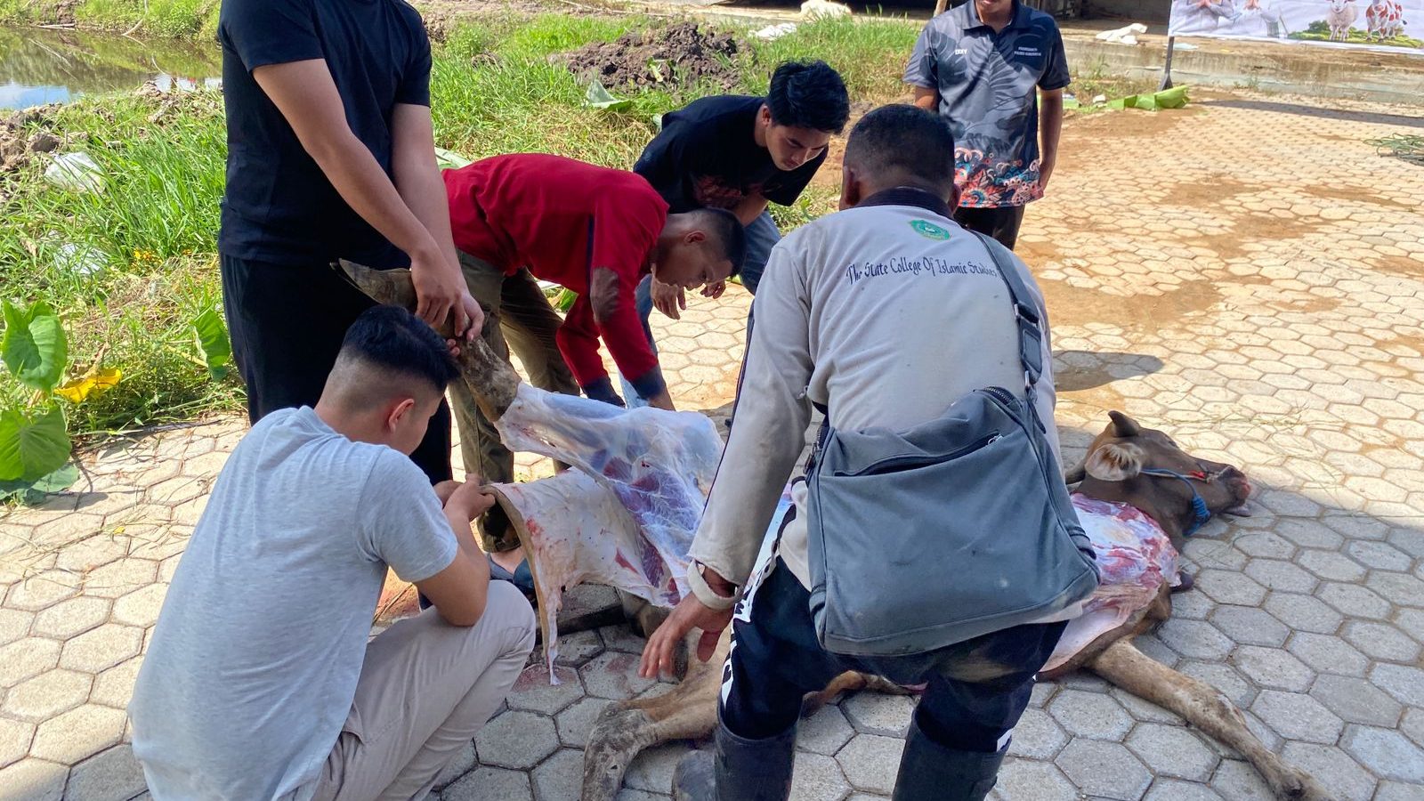 Jumlah Hewan Kurban Polres Kubu Raya Tertinggi se Kalimantan Barat Tahun Ini