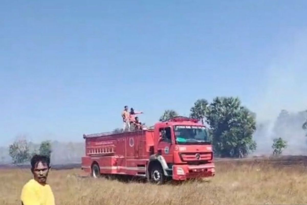 Sisa Pembakaran Sampah Picu Kebakaran Lahan 20 Hektare di Sabu Raijua NTT