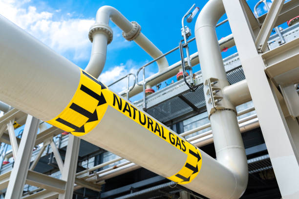 Konsumsi dan Produksi Timpang, Kementerian ESDM Sedang Siapkan CNG dengan Tabung 3 Kg