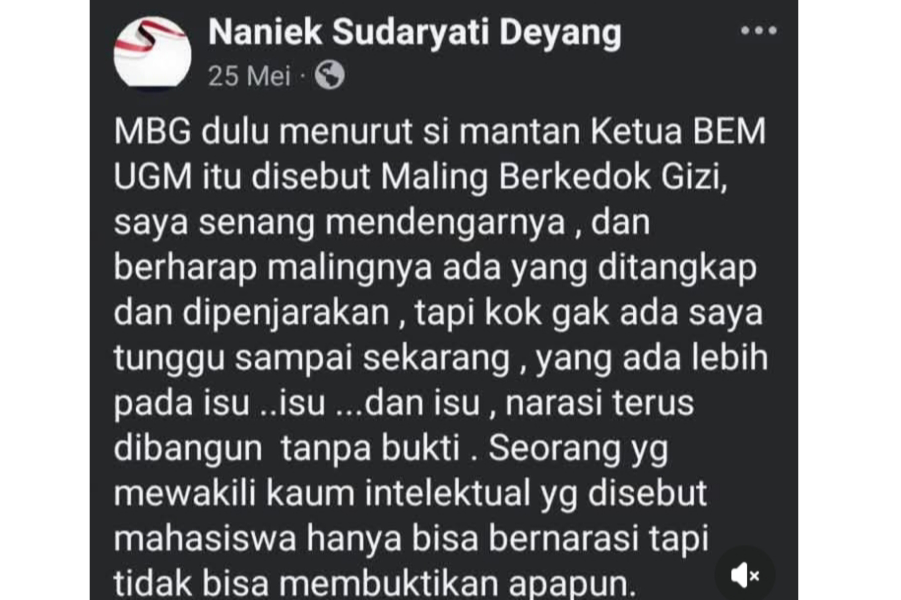 Heboh di Medsos, Tulisan Naniek Sudaryati Terkait Kritik Eks Ketua BEM UGM Soal Program MBG