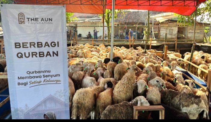 Yayasan Asa Untuk Negeri Tebar Kebahagiaan Iduladha Melalui 2.239 Hewan Qurban