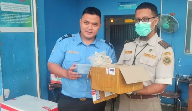 Petugas Karantina Gagalkan Upaya Pengiriman Semut Gajah Ilegal Lewat Bandara Supadio