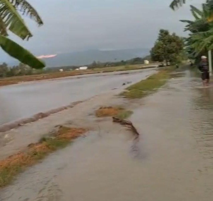 Hujan Deras Picu Luapan Sungai Toribulu, Delapan Hektar Sawah di Parigi Moutong Terendam Banjir