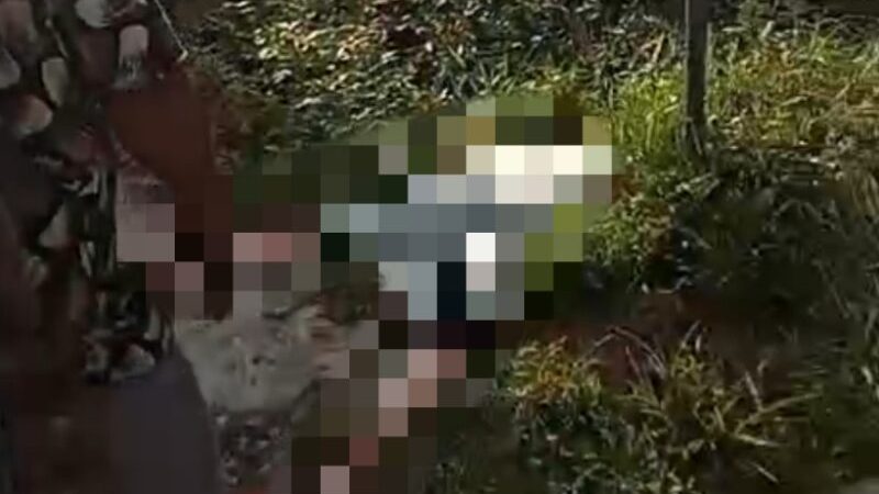Warga Sengkubang Digegerkan Penemuan Mayat Perempuan di Mempawah Tanpa Identitas