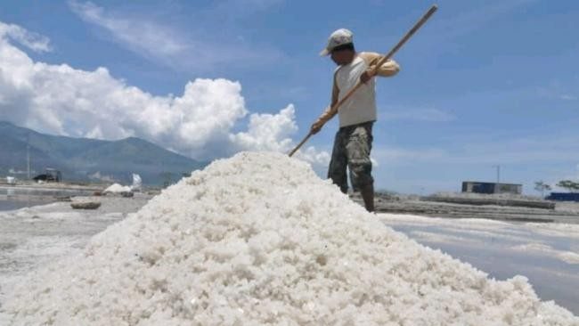 Pemkab Sambas Dorong Pengembangan Produksi Garam Lokal di Temajuk Lewat Sistem Tunnel