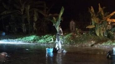 Warga Tanam Pohon Pisang Protes Jalan Rusak di Desa Peniraman Kerap Celakai Pengendara