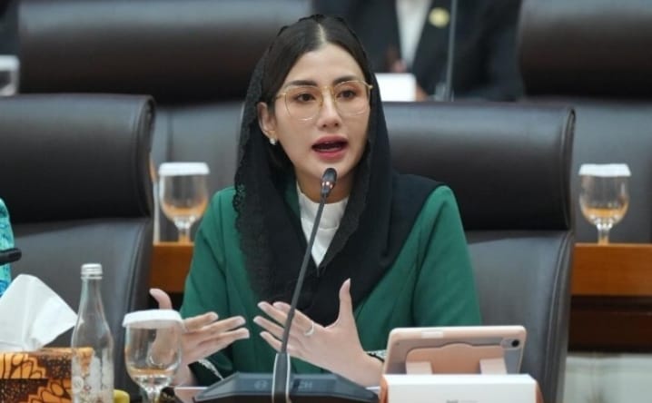 Lindungi UMKM, Novita Hardini Desak Platform Digital Wajib Miliki Dana Cadangan