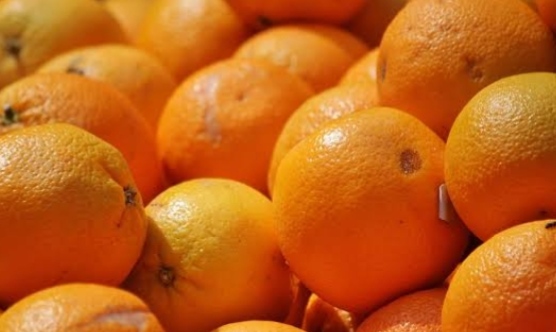 Produksi Jeruk Indonesia Melimpah, Kenapa Masih Tergantung Impor?