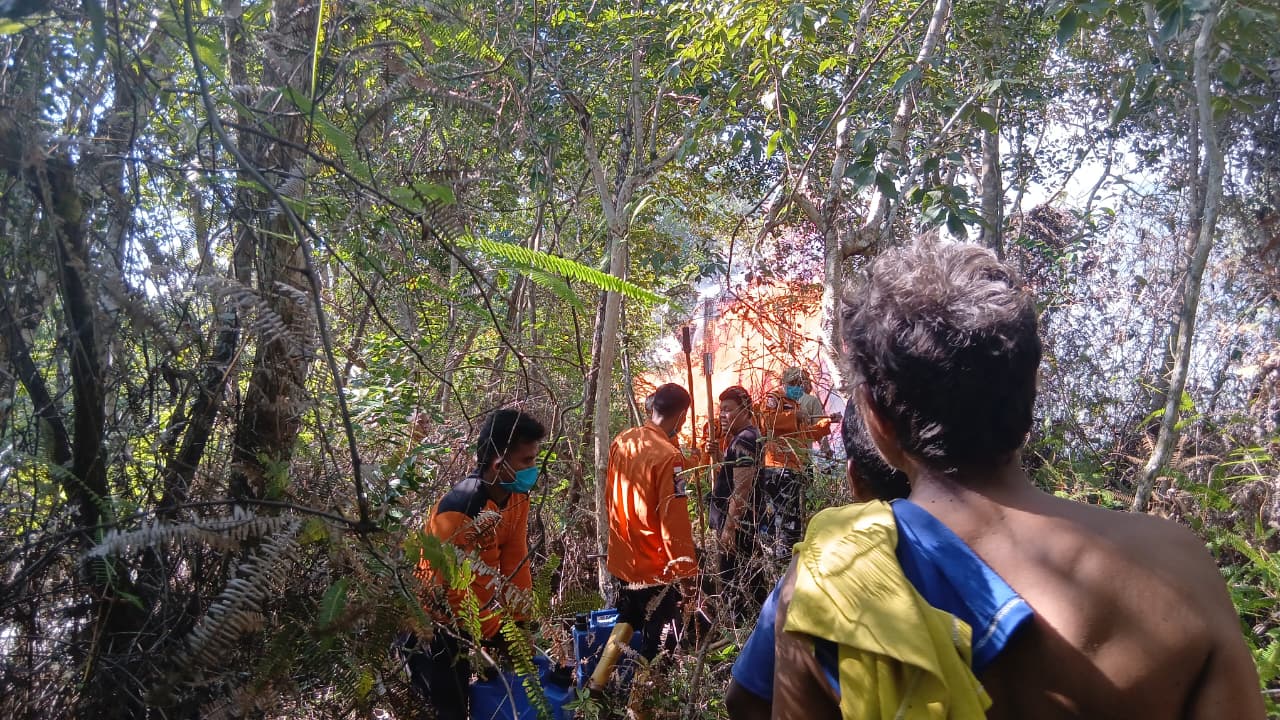 BNPB Peringatkan Ancaman Kekeringan dan Karhutla Mengintai Puluhan Provinsi
