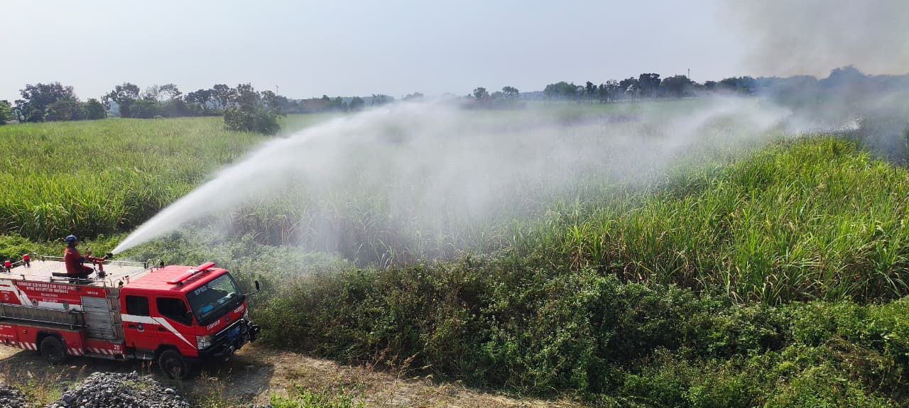 Cuaca Ekstrem Picu Kebakaran Hutan dan Lahan di Kalsel Jatim Hingga Aceh