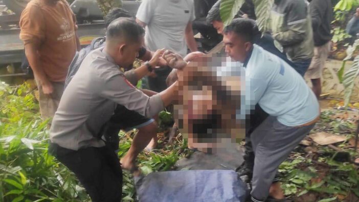 Kernet Tewas dalam Insiden Kecelakaan Maut di Anjongan Usai Pikap Menabrak Pohon