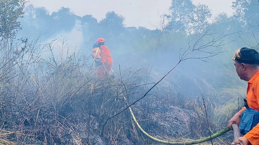 Satu Warga Pingsan Usai Enam Puluh Hektare Lahan Ludes Terbakar Akibat Karhutla di Kutai Barat