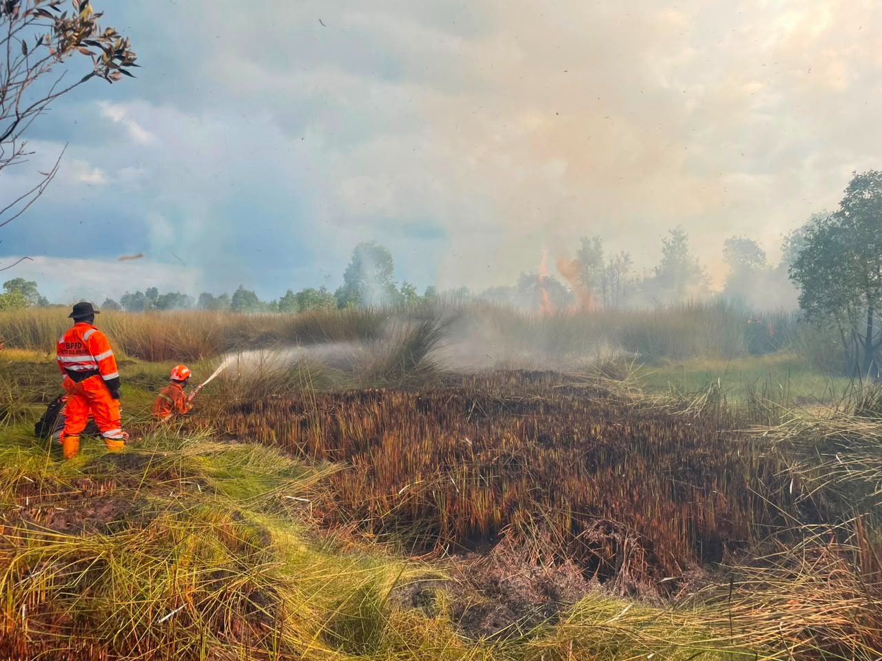 Lahan Seluas 4,7 Hektare Terbakar di Wilayah Banjarbaru dan Belitung Timur