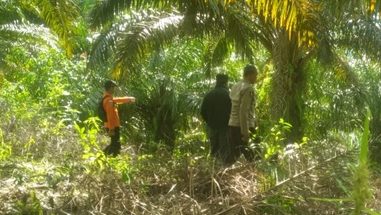 Tim SAR Gabungan Perluas Radius Pencarian Warga Hilang di Sekadau
