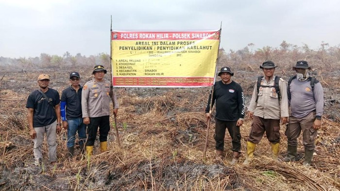 Gegara Sepuntung Rokok Hutan 30 Hektar Hangus