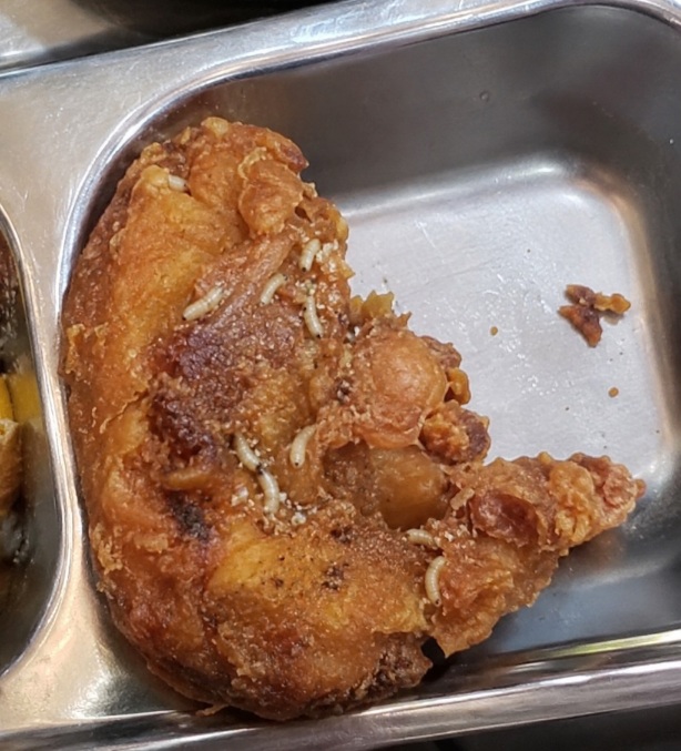 Menu MBG di Kubu Raya, Ayam Goreng Bertabur Belatung
