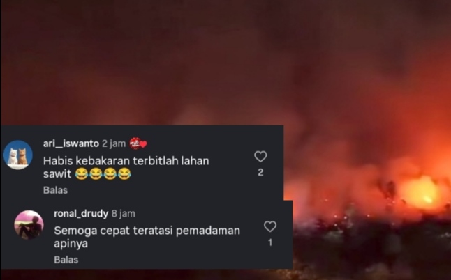 Karhutla Kalteng, Netizen: Habis Kebakaran Terbitlah Lahan Sawit