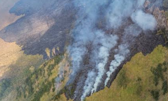 Kebakaran Hutan Bromo Kian Meluas, Sekitar 70 Hektare Kawasan TNBTS Hangus Dilalap Api