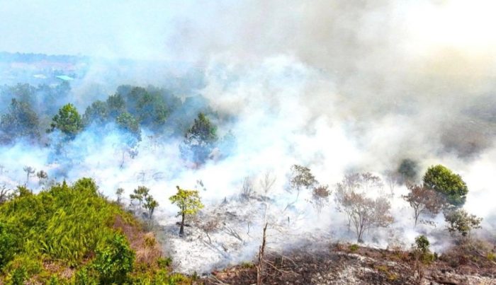 Soroti Perintah Pencabutan Perda Pembukaan Lahan, DPW PURBAYA Indonesian Kalbar: Perlu Kajian Menyeluruh
