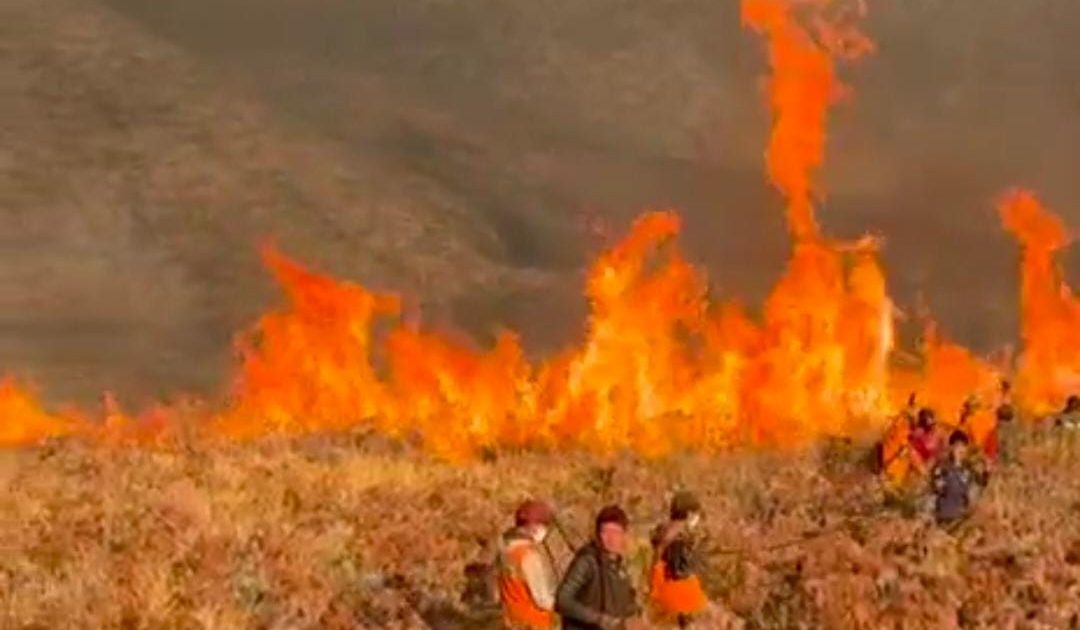 Singgung Kebakaran di Taman Nasional Bromo Tengger, Ketua DPR Minta Dampak Ekonomi Dihitung Pemerintah
