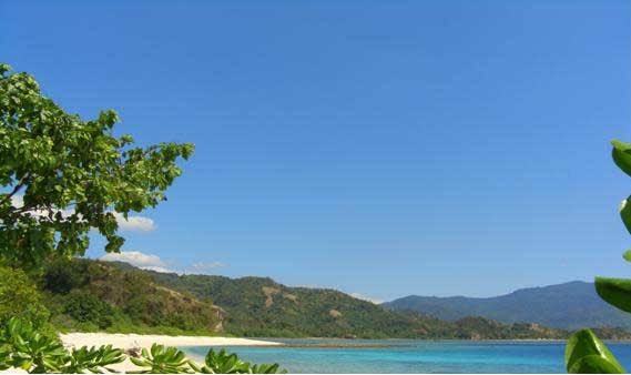 Tsunami di Maurole, BMKG: Gempa di Nagekeo