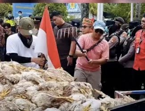 GPG Palangkaraya Pakai Cara Ekstrim Agar Telinga dan Empati Manajemen PLN Berfungsi