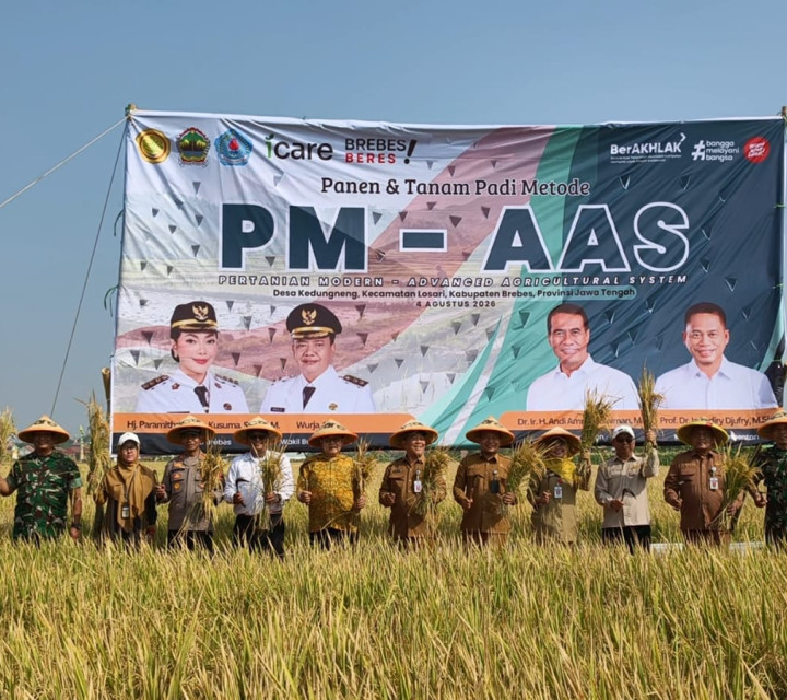 Panen Melimpah di Brebes, Sistem Pertanian Modern PM-AAS Tembus 10,43 Ton per Hektare