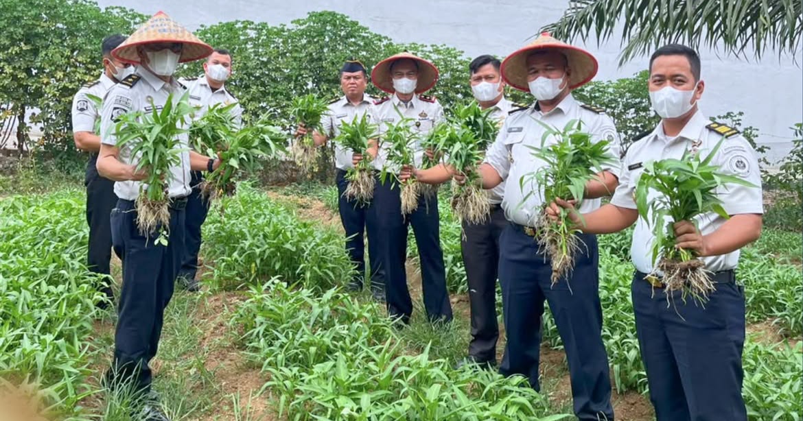 Lapas Muara Tebo Dukung Program Ketahanan Pangan Melalui Panen Kangkung Hasil Pembinaan Kemandirian Warga Binaan
