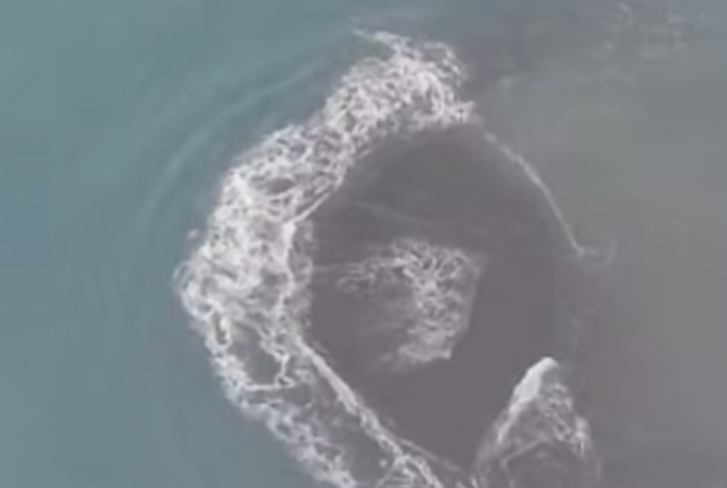 Benarkah Cucu Krakatau Muncul ke Permukaan?