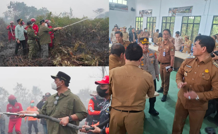 Pimpin Rakor Karhutla di Teweh Selatan, Shalahudin Ajak Bangun Sistem PKMS