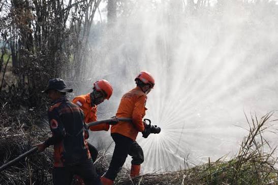 Langkah Preventif Kebakaran Hutan, Pemerintah Perkuat Personel Satgas Karhutla
