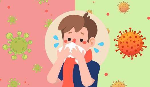 Waspada Lonjakan Influenza Musiman: Kemenkes Minta Warga Jaga Imunitas dan Tidak Panic Buying