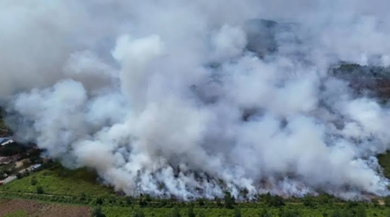Kalteng Dikepung Ancaman Karhutla, 3.898 Hotspot Terdeteksi; Kabut Asap Tebal Ancam Kesehatan Warga