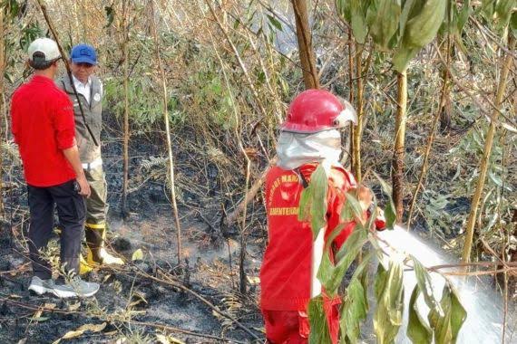 Tinjau Karhutla Kalsel, Menhut Minta Tim Lapangan Tetap Solid