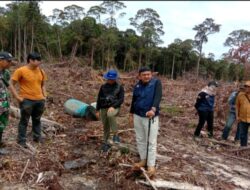 Gelar Patroli, BKSDA Kalbar Gagalkan Aktivitas PETI di Gunung Asuansang