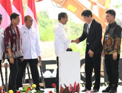 Presiden Jokowi Groundbreaking Delonix Nusantara, Bukti Kepercayaan Investor  asal china