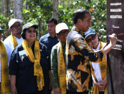 Restorasi dan Reforestasi Hutan, Presiden Jokowi Canangkan Kawasan Wanagama Nusantara di IKN